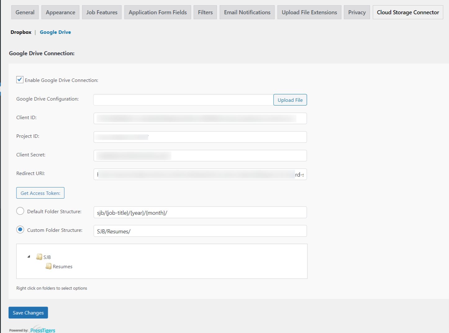 Google Drive Configuration Settings